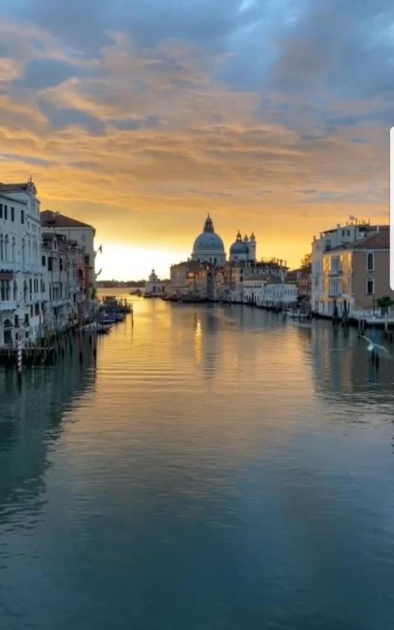 The Secret Garden In The Very Heart Of Venise Extérieur photo