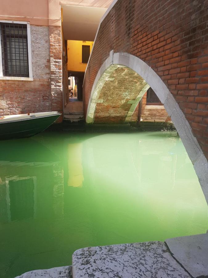 The Secret Garden In The Very Heart Of Venise Extérieur photo